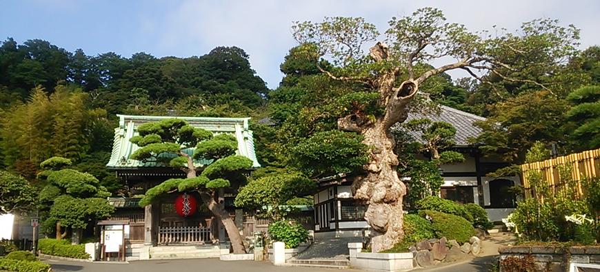 長谷寺(長谷観音)フォト1