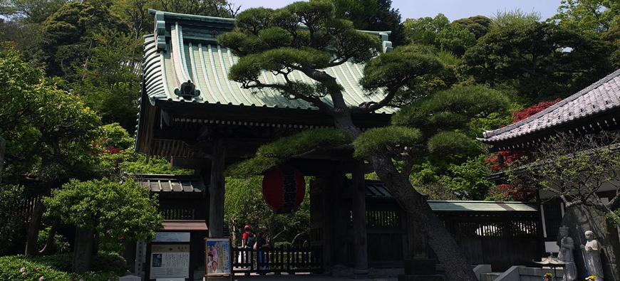 長谷寺(長谷観音)フォト10