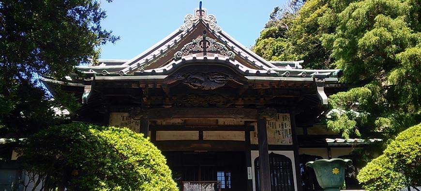 安養院(田代寺)フォト3