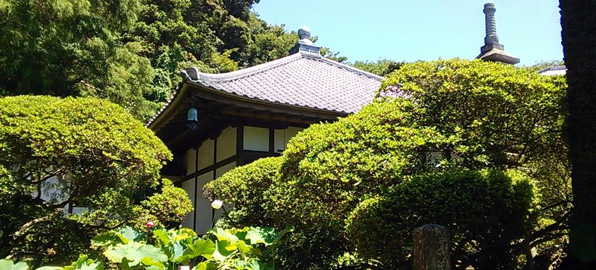 安養院(田代寺)フォト5