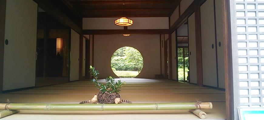 明月院(あじさい寺)フォト1