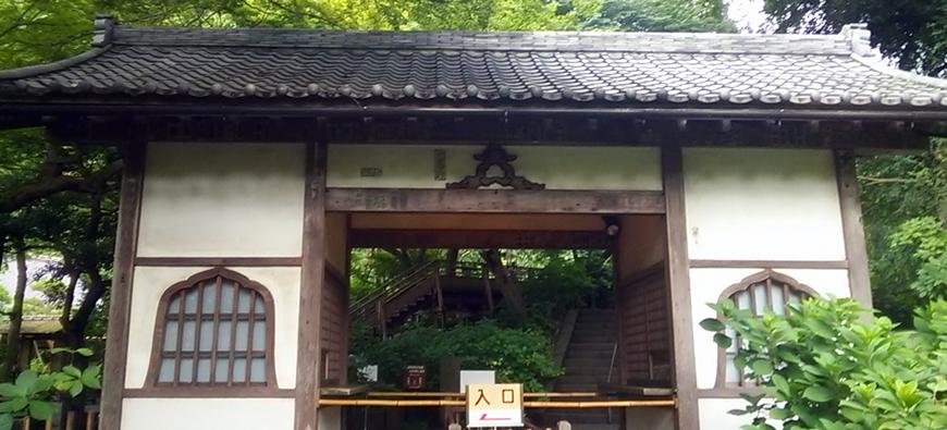 明月院(あじさい寺)フォト2