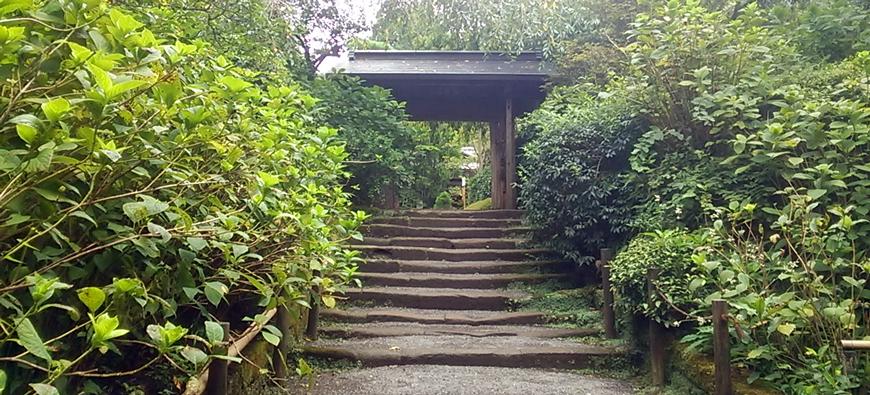 明月院(あじさい寺)フォト6