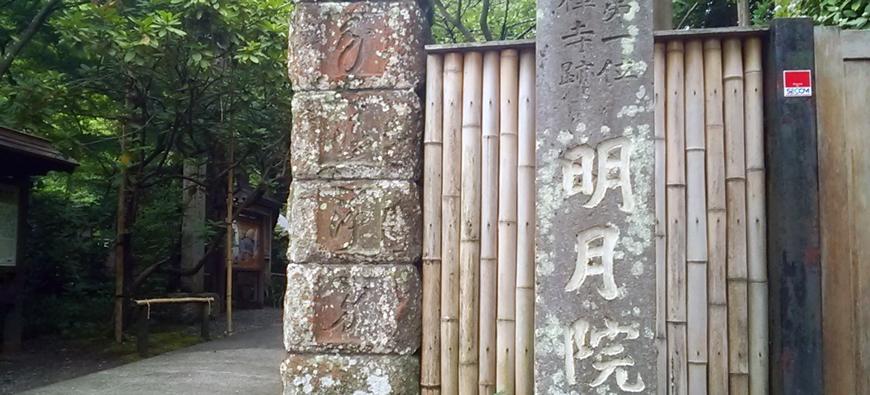 明月院(あじさい寺)フォト8