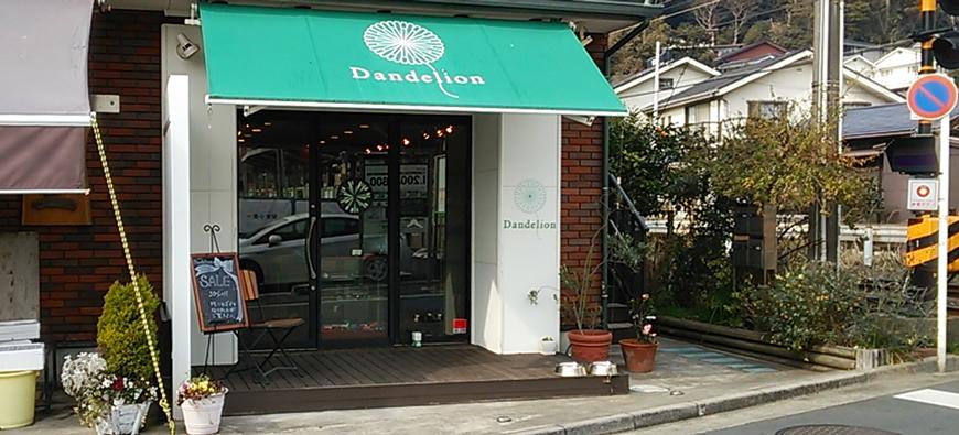 Dandelion(ダンデライオン)フォト3