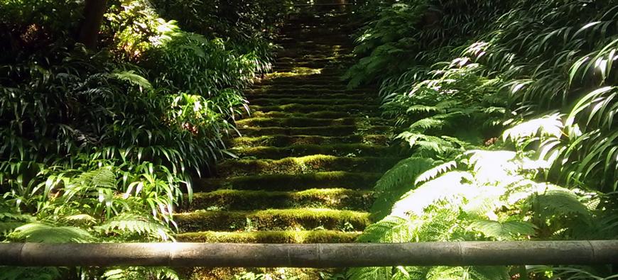 妙法寺フォト7